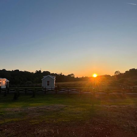 Luxury Riverfront Tiny House- Amazing Views- #111 Strawberry Plains エクステリア 写真