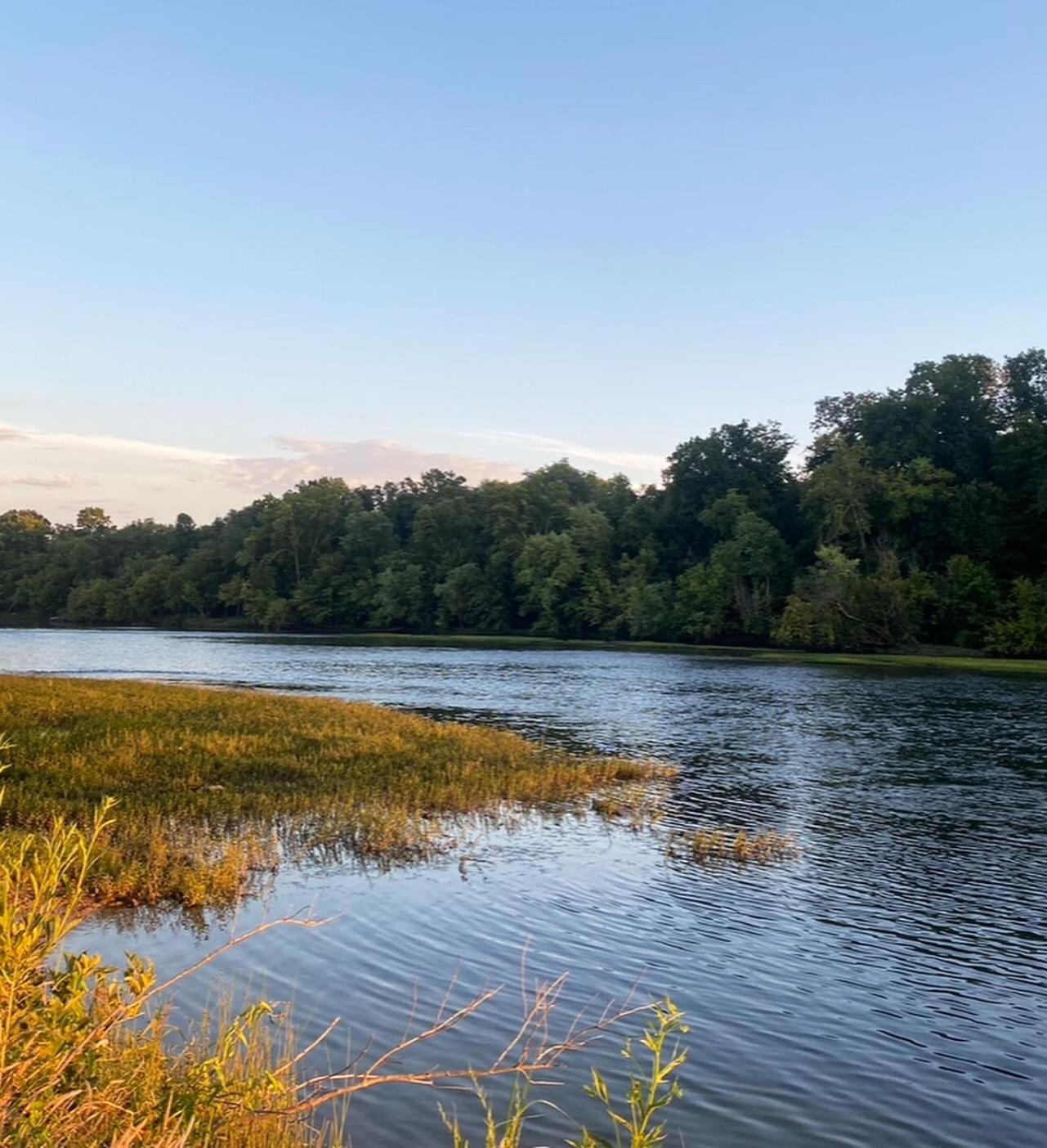 Luxury Riverfront Tiny House- Amazing Views- #111 Strawberry Plains エクステリア 写真