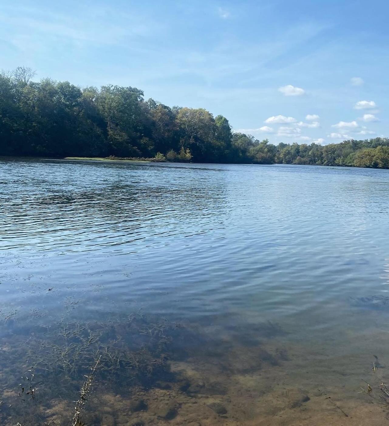 Luxury Riverfront Tiny House- Amazing Views- #111 Strawberry Plains エクステリア 写真