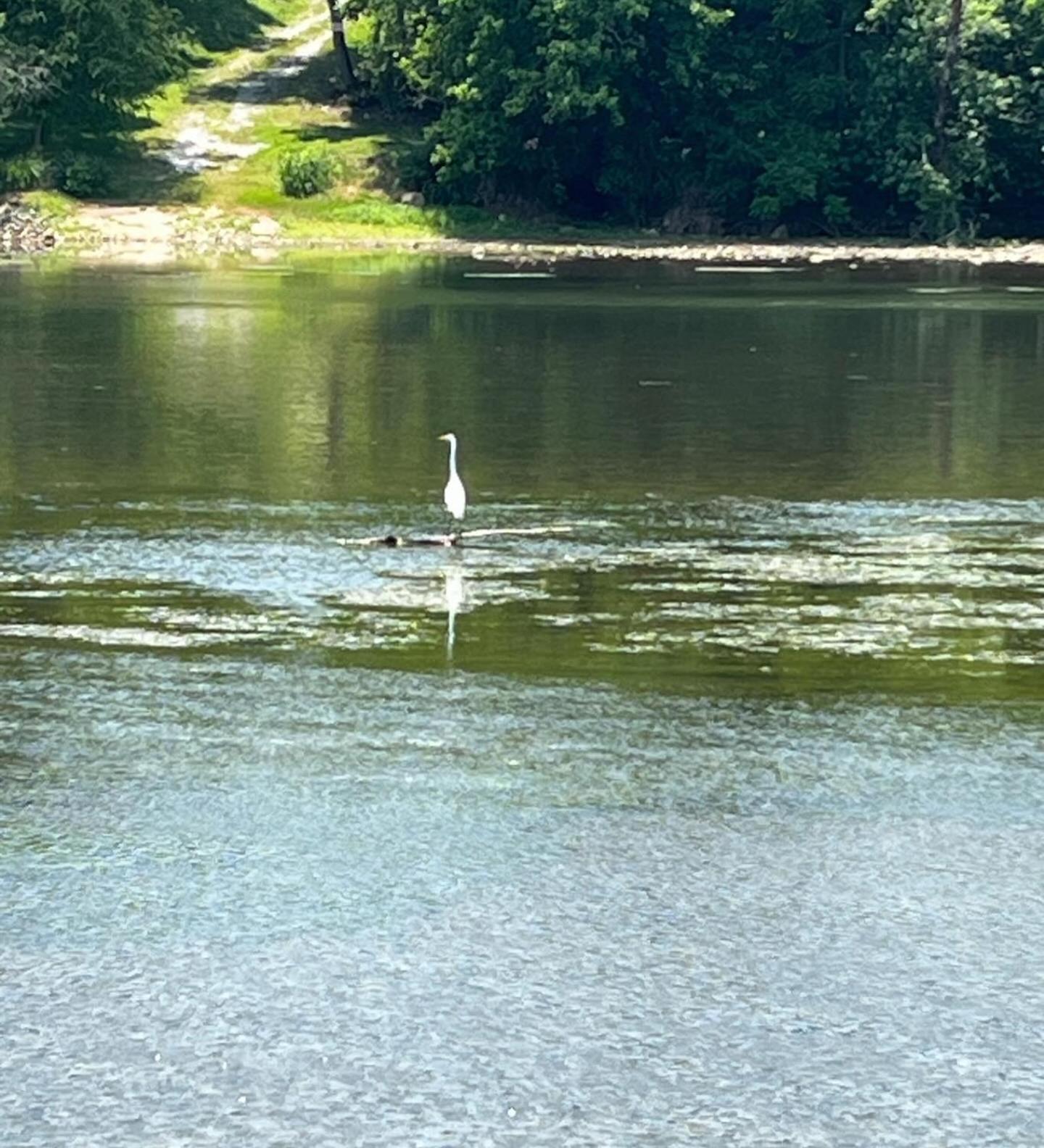 Luxury Riverfront Tiny House- Amazing Views- #111 Strawberry Plains エクステリア 写真