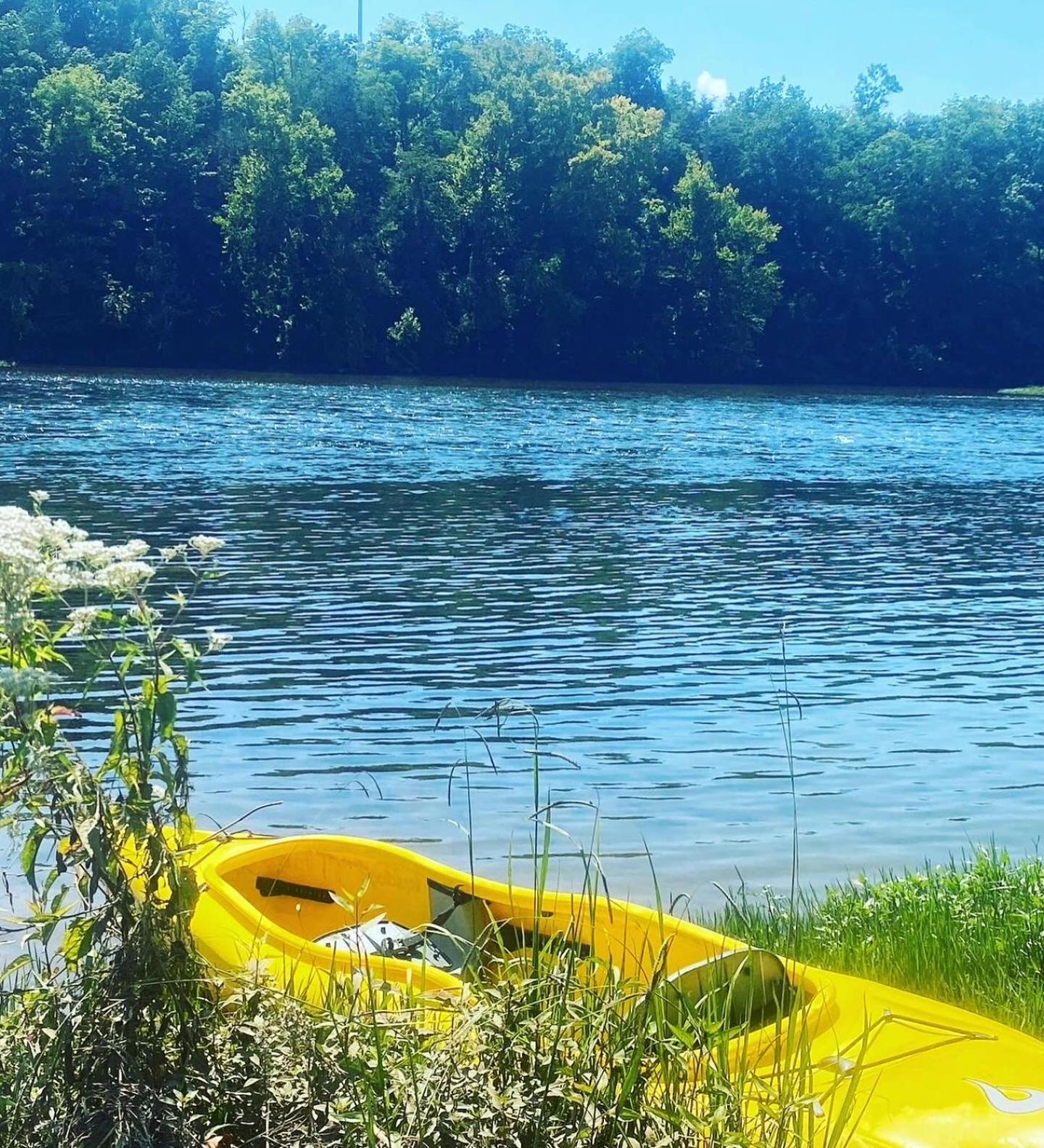 Luxury Riverfront Tiny House- Amazing Views- #111 Strawberry Plains エクステリア 写真
